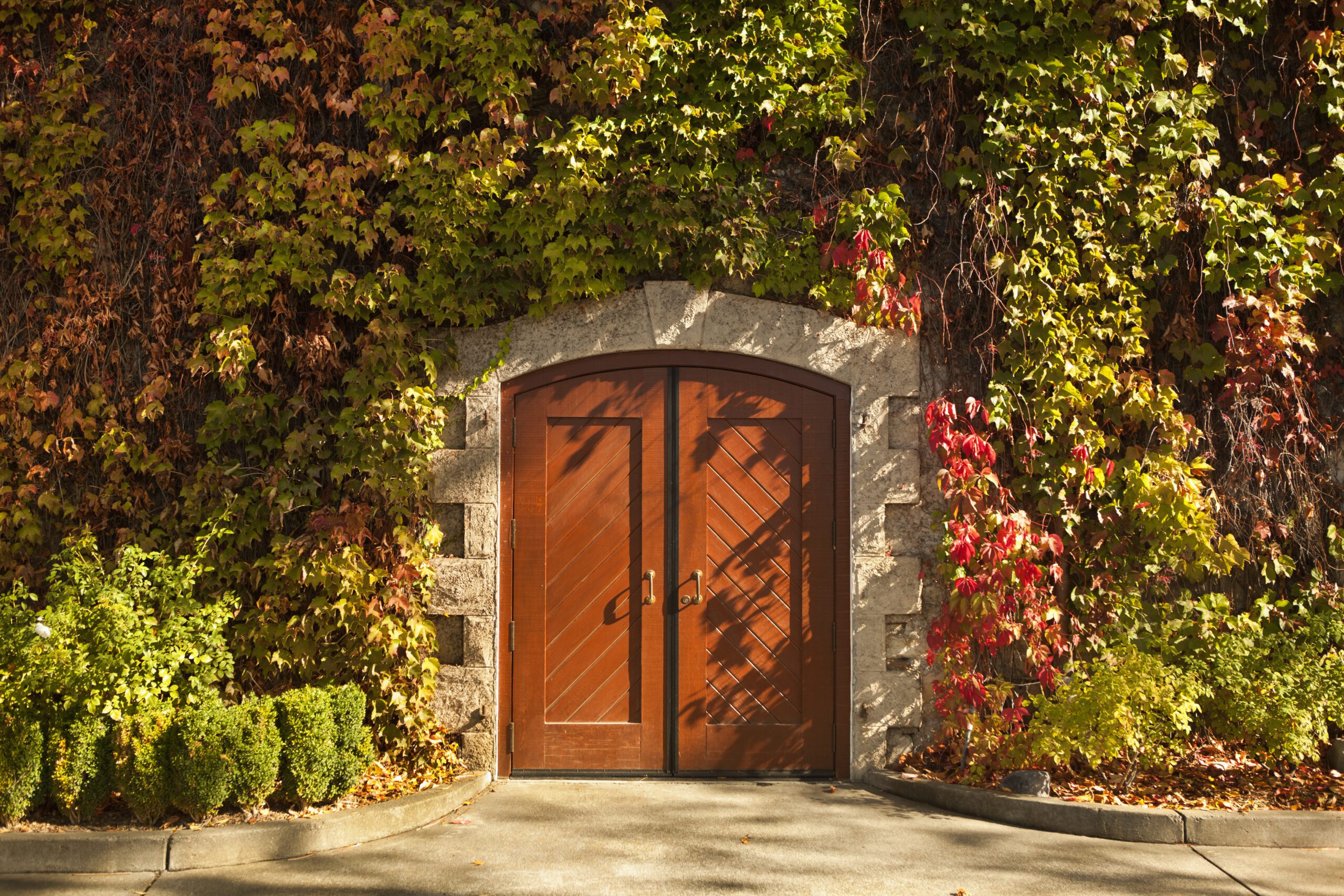 Napa Valley Concierge