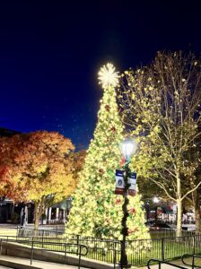 Christmas tree in downtown Napa